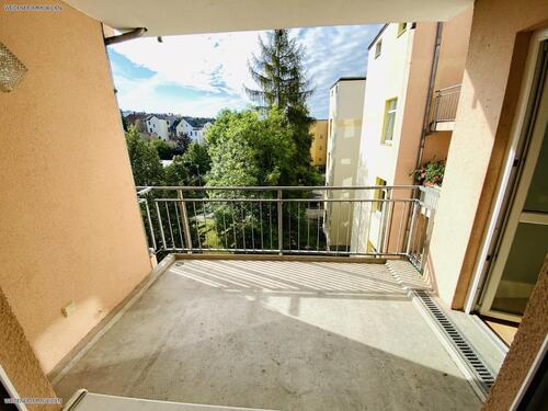 Balkon - Süd-Balkon! 2-Raum Wohnung mit Dusche, Aufzug im Haus und Tiefgarage!