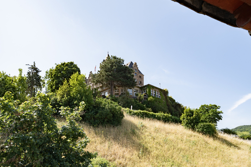 Aussicht Burg Klopp - 