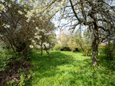 Einblick - Grundstück in Hundsbach