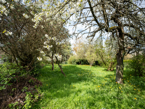 Einblick - Grundstück in Hundsbach