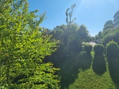 Ausblick - 