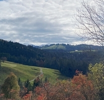 saniertes 3-FH bei Grünenbach – Vermietungsobjekt (Ferienwohnungen) od. als Generationenhaus nutzbar