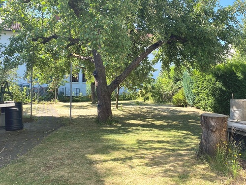 Garten teilansicht - Mehrfamilienhaus, Wohnhaus mit 187,53 m&sup2; in Neu-Ulm / Offenhausen zum Kaufen