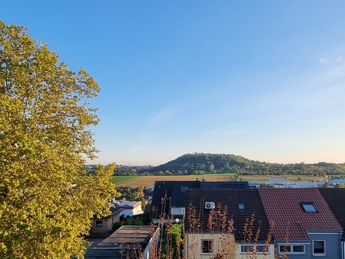 Ausblick - 