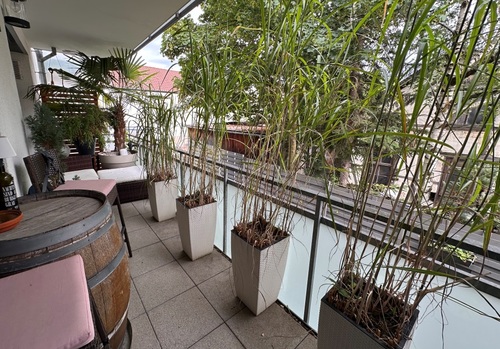 Balkon - 'Altersgerechter Wohnkomfort in bester Lage - 2,5 Zimmer, Aufzug, TG, edle Ausstattung & Garten'