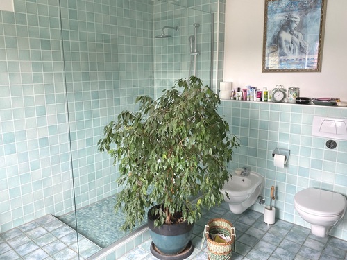 Dusche - 