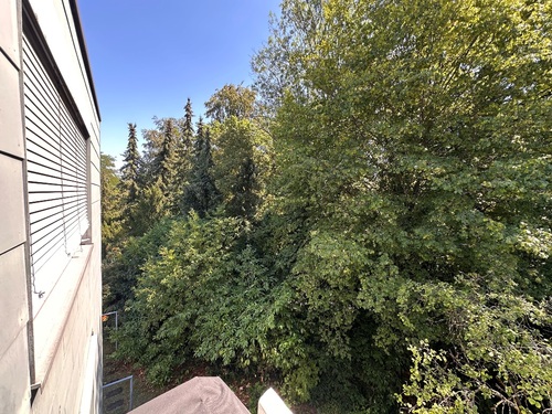 Balkon mit Blick ins Grüne - 