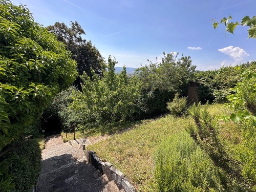 Treppe zum Gartenhaus - 