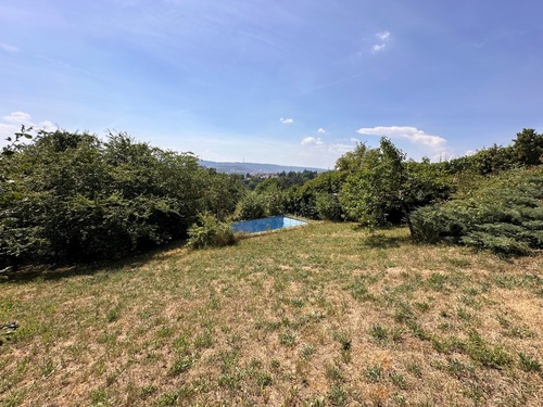 Mittlere Ebene Garten - 