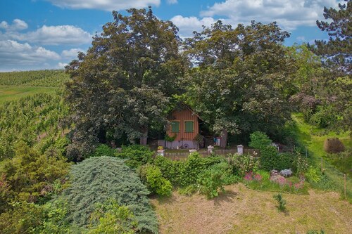 Gartenansicht oben 1 - 'Absolute Rarität - Gartengrundstück mit Weitblick mitten in den Weinbergen von Stuttgart-Bad Cannstatt - mit Gartenhaus und Swimmingpool'