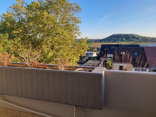 Ausblick - 'Sonniges Apartment mit Balkon, Aufzug & Stellplatz - 1-Zi.-OG-ETW in Tamm'