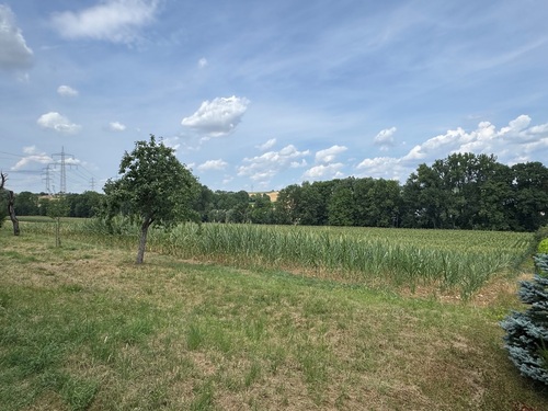 Ortsrand - 