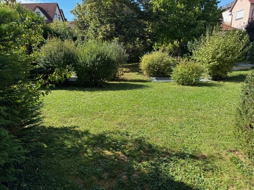 Garten - 