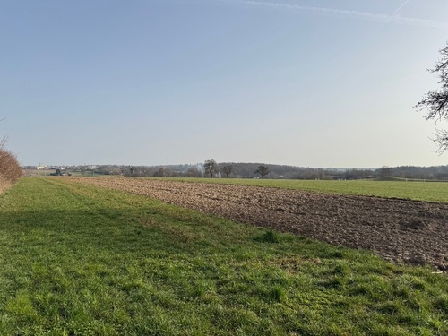 Ortsrand - 