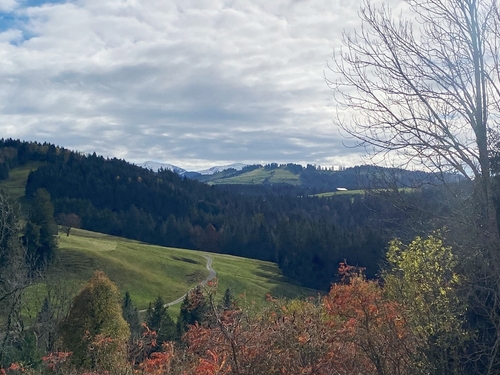 Titelbild - saniertes 3-FH bei Grünenbach – Vermietungsobjekt (Ferienwohnungen) od. als Generationenhaus nutzbar