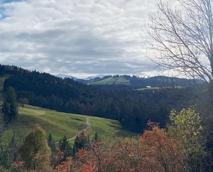 saniertes 3-FH bei Grünenbach – Vermietungsobjekt (Ferienwohnungen) od. als Generationenhaus nutzbar