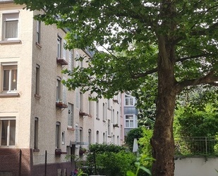 Gepflegtes 6-FH in ruhiger Lage, Nähe Zentrum Stuttgart-Bad Cannstatt - Rendite ca. 4 % netto - Stuttgart / Bad Cannstatt Bad Cannstatt (Stadtbezirk)