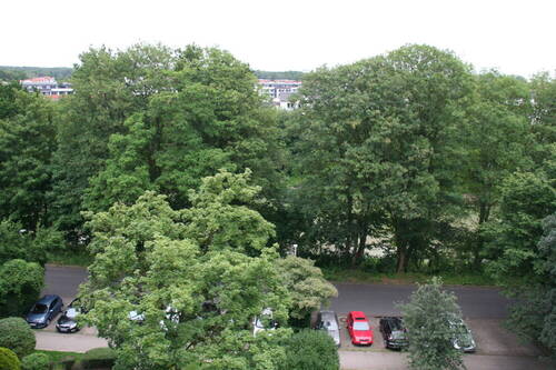 Aussicht_002 - 