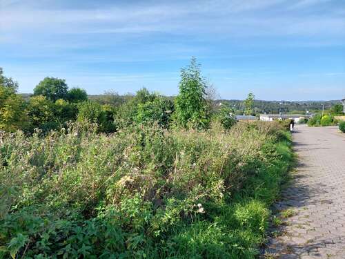 Foto - Grundstück zu verkaufen in Schwelm 215.000,00 € 503 m²