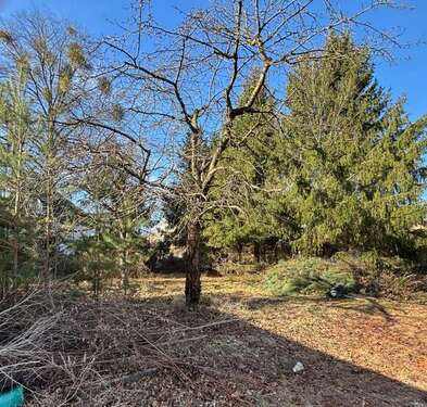 Foto - Grundstück zu verkaufen in Potsdam 299.400,00 € 500 m²