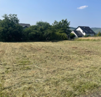 Grundstück zu verkaufen in Wiltingen 165.000,00 € 500 m²