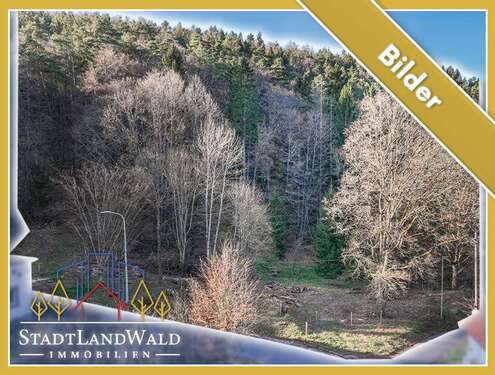 Foto - Grundstück zu verkaufen in Elmstein 165.000,00 € 10580 m²