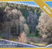 Grundstück zu verkaufen in Elmstein 165.000,00 € 10580 m²