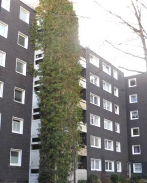 Foto - Wohnung zum Mieten in Essen 347,71 € 68.66 m²