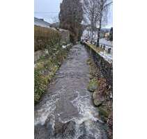 Grundstück zu verkaufen in Baden- Baden 199.000,00 € 490 m²