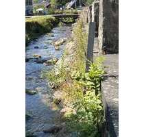 Grundstück zu verkaufen in Baden- Baden 175.000,00 € 470 m²