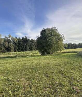 Foto - Grundstück zu verkaufen in Ahorn 79.000,00 € 850 m²