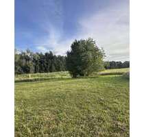 Grundstück zu verkaufen in Ahorn 79.000,00 € 850 m²