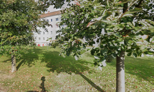 Foto - Wohnung zum Mieten in Rosenow 395,00 € 67.2 m²