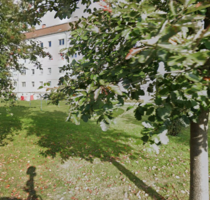 Wohnung zum Mieten in Rosenow 395,00 € 67.2 m²