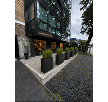 Gastronomie in Hamburg 2.990,00 € 164 m²