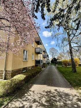 Foto - Wohnung zum Kaufen in Dresden 180.000,00 € 67 m²