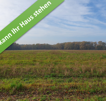 Haus zum Kaufen in Bad Fallingbostel 412.450,00 € 133 m²