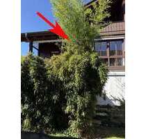 Wohnung zum Kaufen in Bernau 425.000,00 € 89 m²