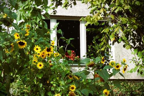 Foto - Wohnung zum Kaufen in Niedernhausen Oberjosbach 242.000,00 € 82 m²