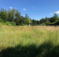 Grundstück zu verkaufen in Böhl-Iggelheim 450.000,00 € 2400 m²