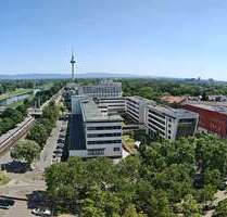 Wohnung zum Mieten in Mannheim 725,00 € 32 m²