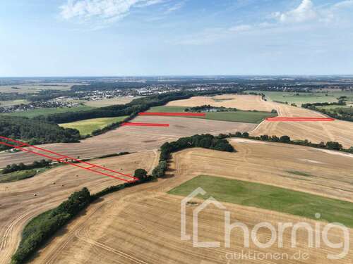 Foto - Grundstück in Grevesmühlen 89.900,00 € 30519 m²