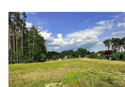 Foto - Haus zum Kaufen in Wendisch Rietz 384.990,00 € 120 m²