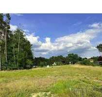 Haus zum Kaufen in Wendisch Rietz 384.990,00 € 120 m²