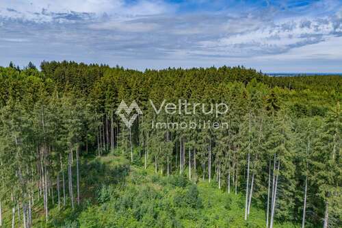 Foto - Grundstück in Egling an der Paar Heinrichshofen 477.490,00 € 73460 m²