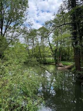 Foto - Wohnung zum Kaufen in Lauf a. d. Pegnitz 225.000,00 € 76 m²