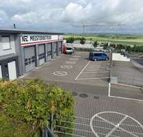 Halle in Saulheim 10.000,00 € 497 m²