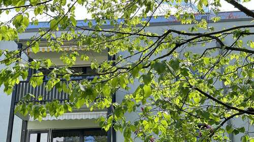 Foto - Wohnung zum Kaufen in München 580.000,00 € 81.5 m²
