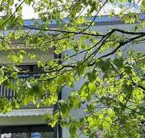 Wohnung zum Kaufen in München 580.000,00 € 81.5 m²