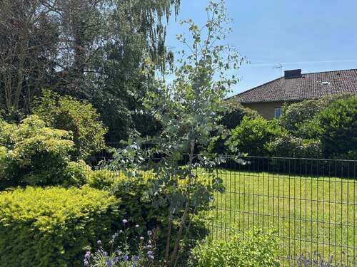 Foto - Wohnung zum Mieten in Meckenheim 1.370,00 € 114 m²
